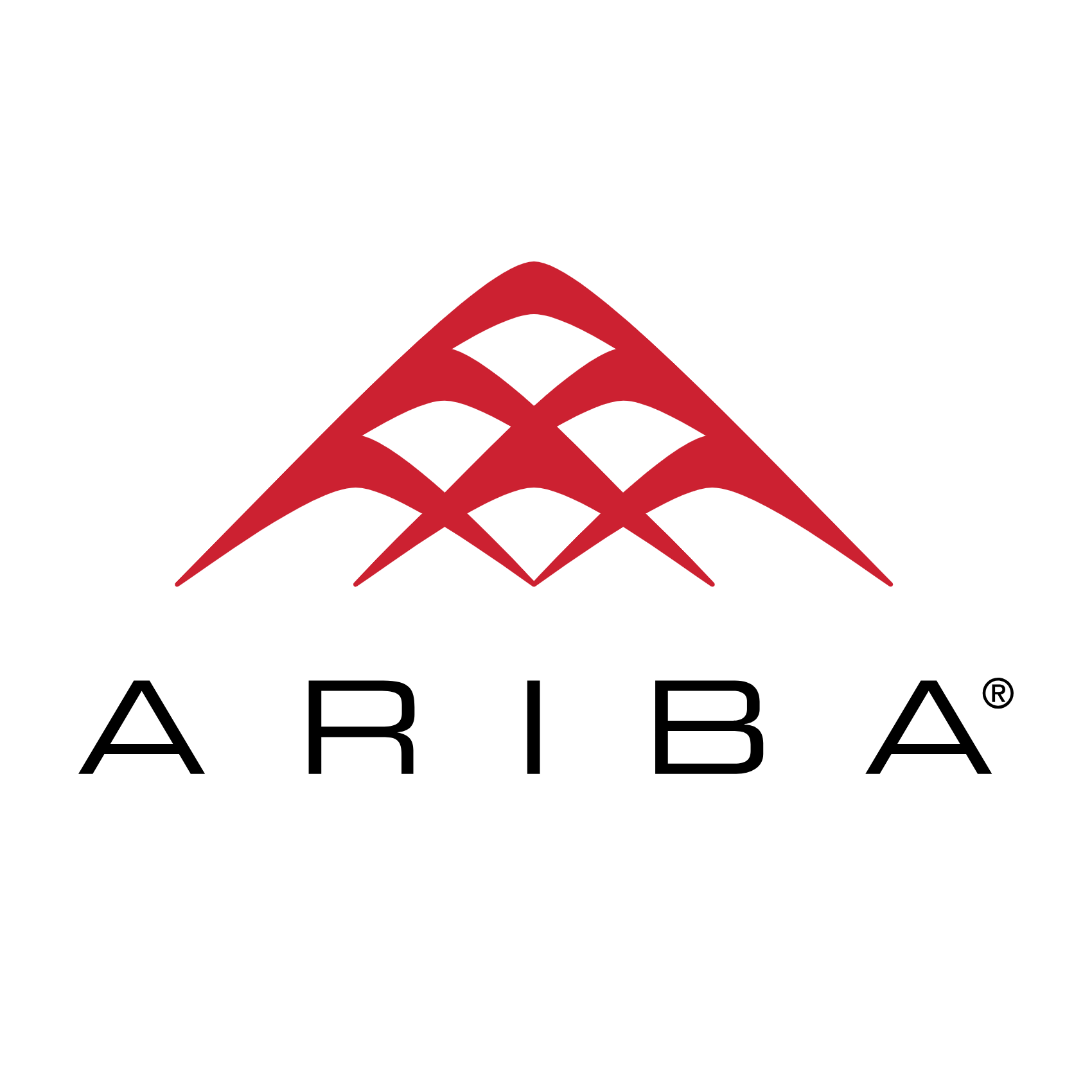 Ariba Networking